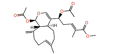 Acalycigorgin A